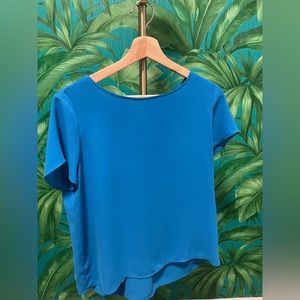 Blue silky top